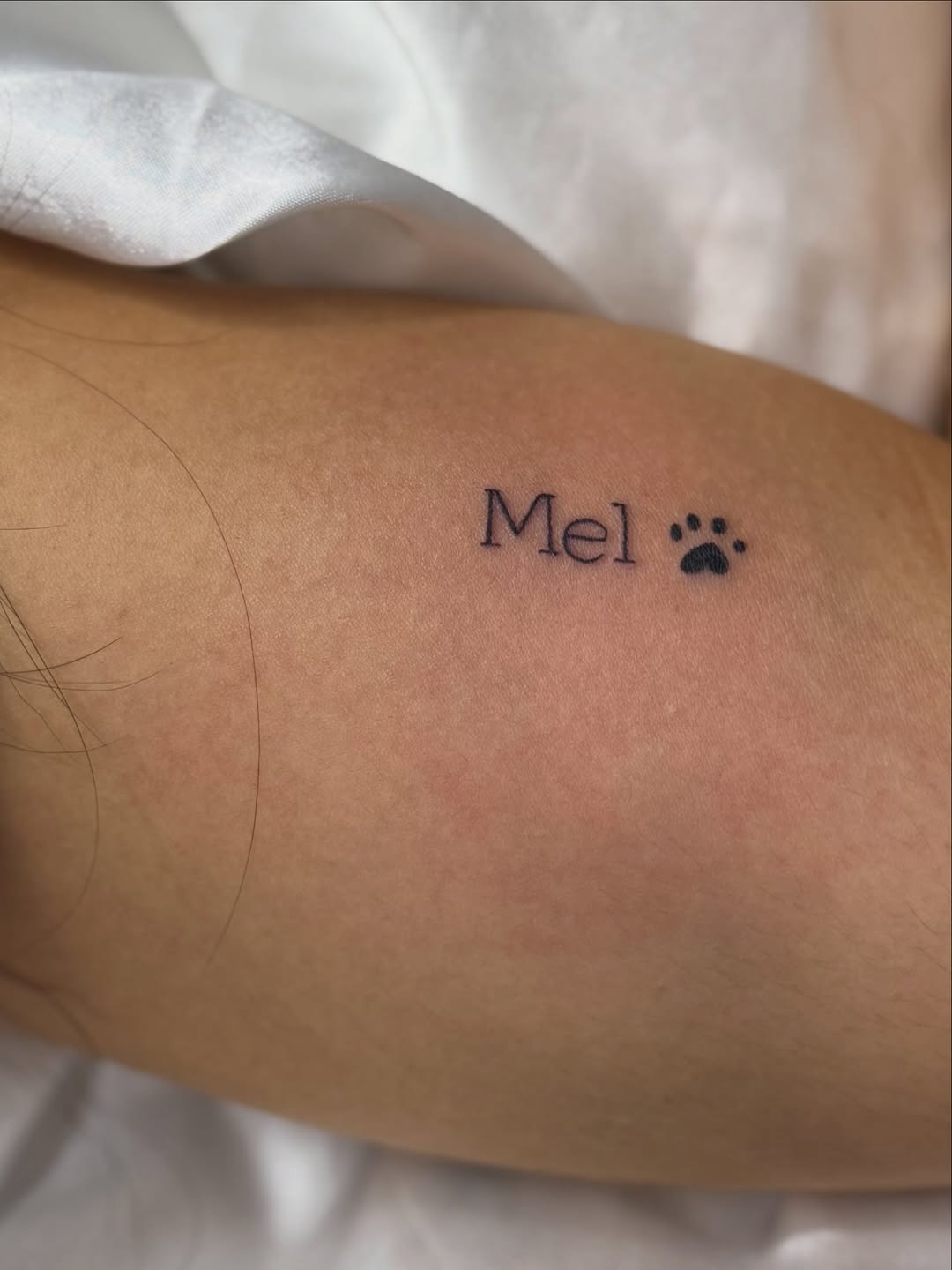 Tattoo by @wellenrodrigues_art — lettering_script, fine_line