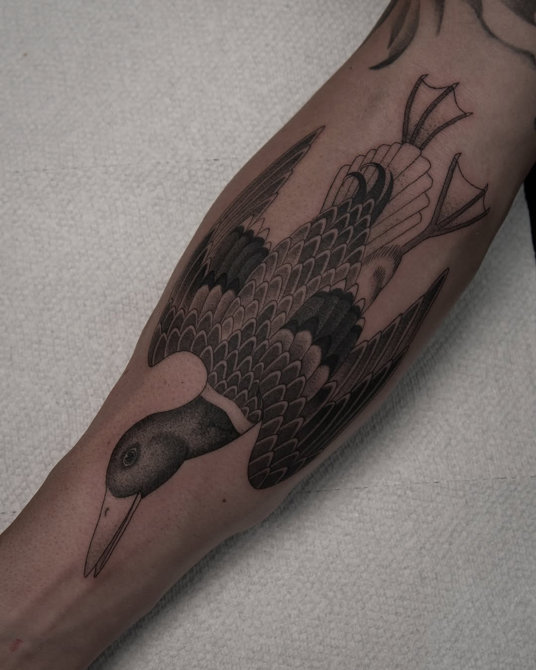 Tattoo by @zakbrochutattoo โ black_and_grey