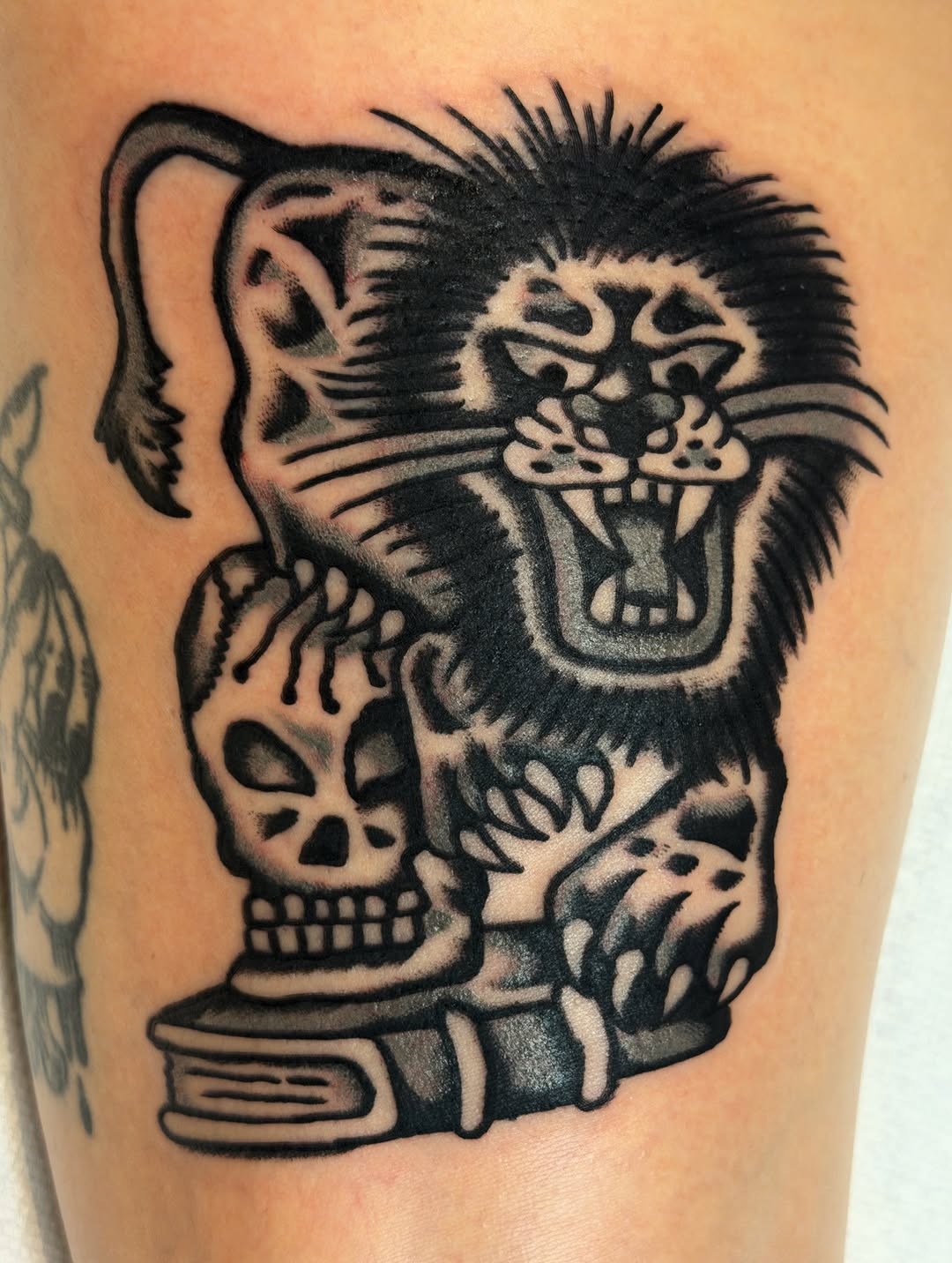 Tattoo by @plantstaretattoo โ american_traditional, illustrative