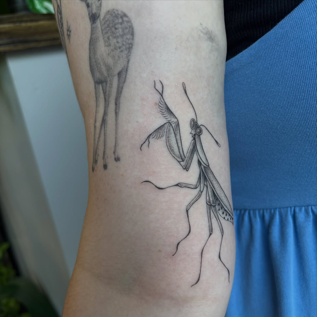 Tattoo by @haileybtats — fine_line