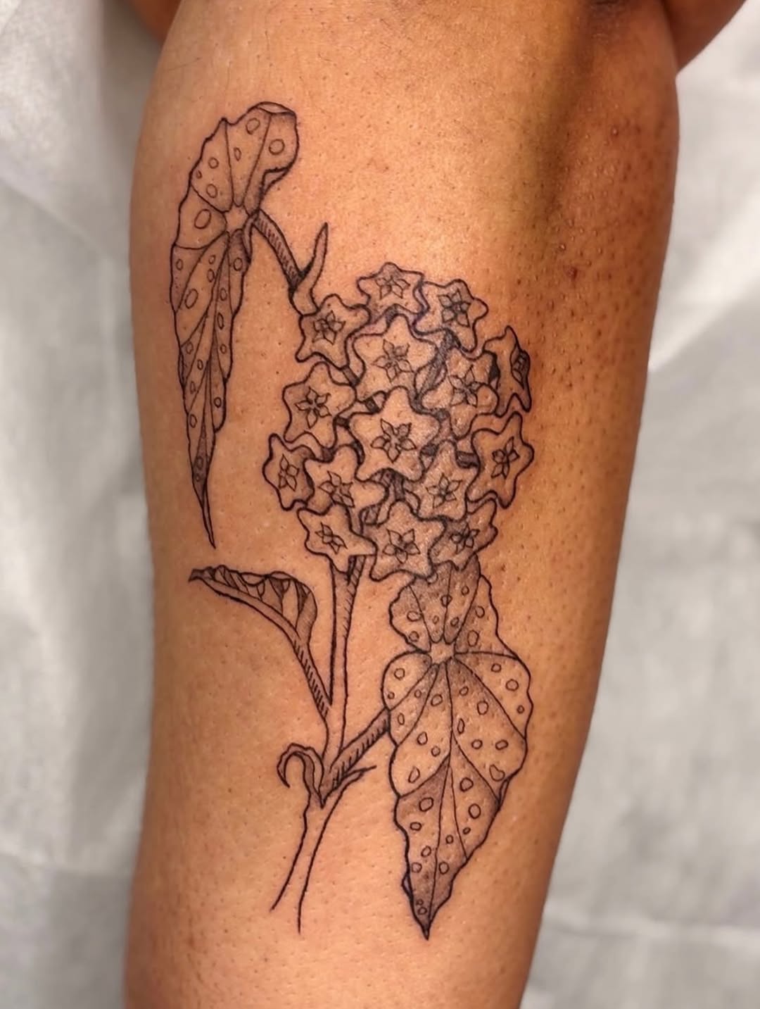 Tattoo by @maddietattie โ fine_line