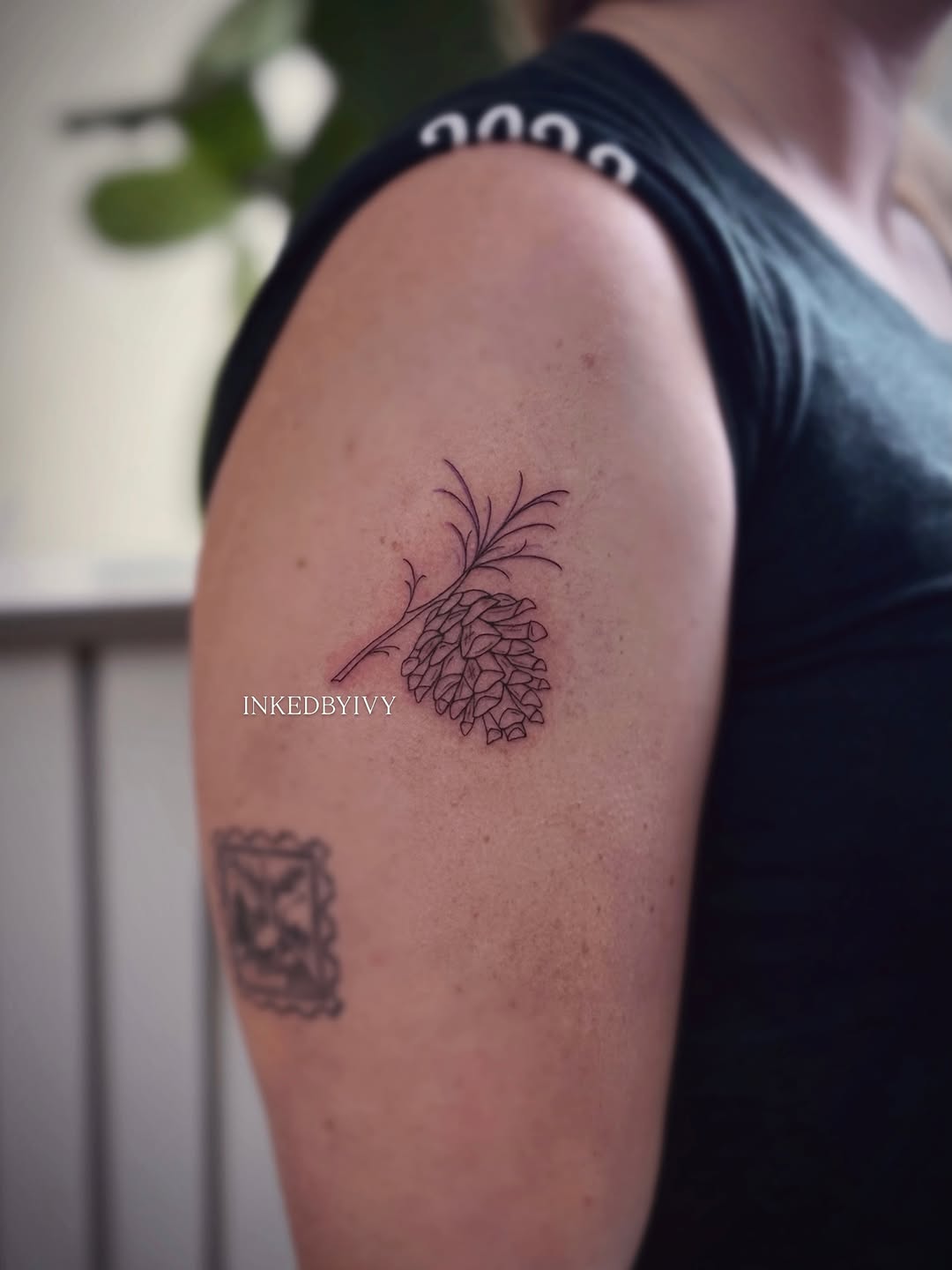 Tattoo by @inkedbyivy — fine_line, illustrative