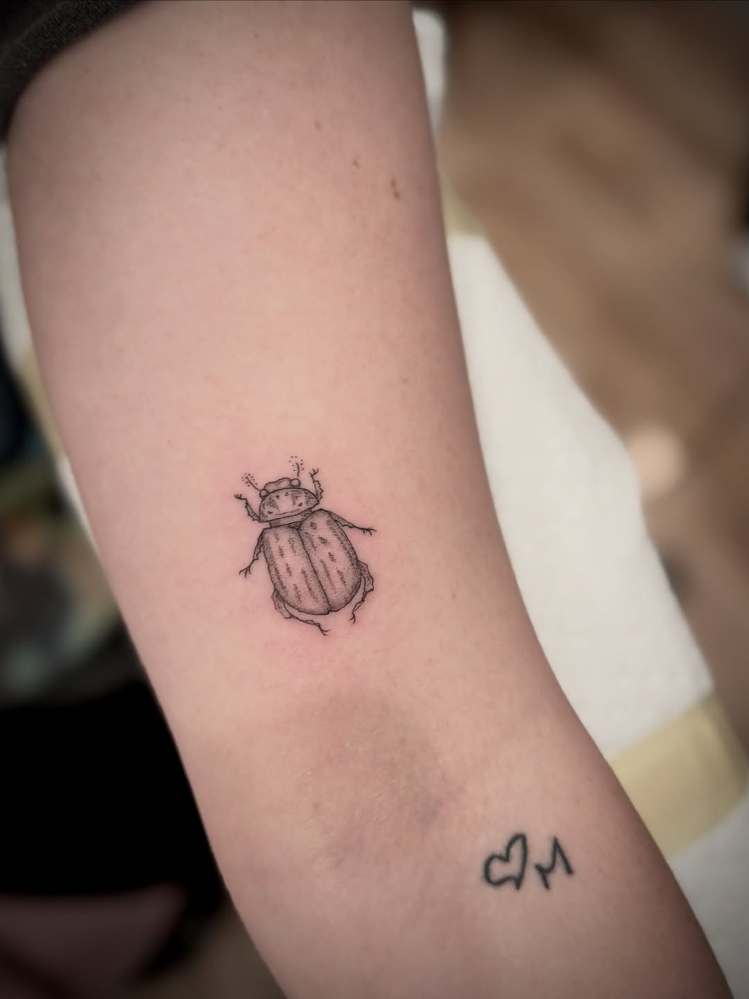 Tattoo by @scurvy_dan — fine_line