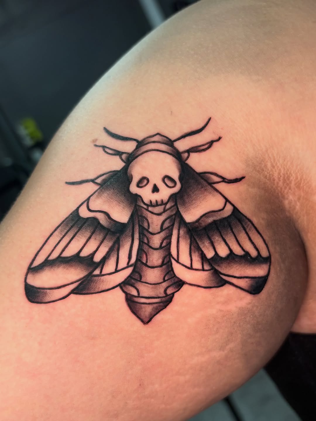 Tattoo by @dulzura.inks — american_traditional, illustrative