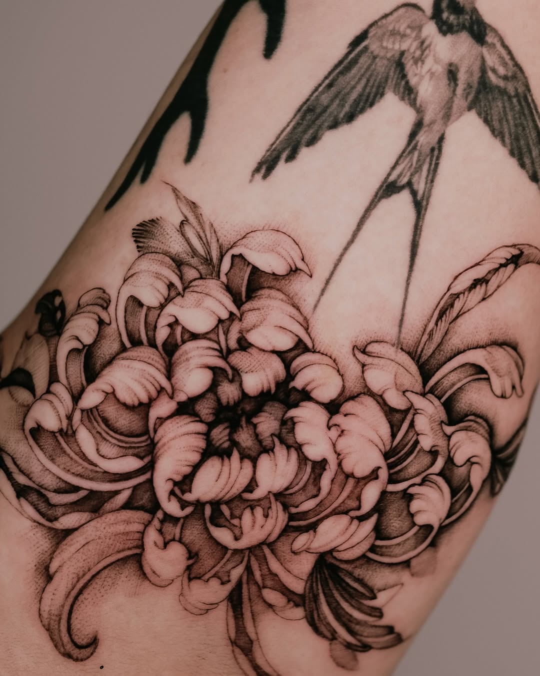 Tattoo by @estherinkflower — black_and_grey, dotwork