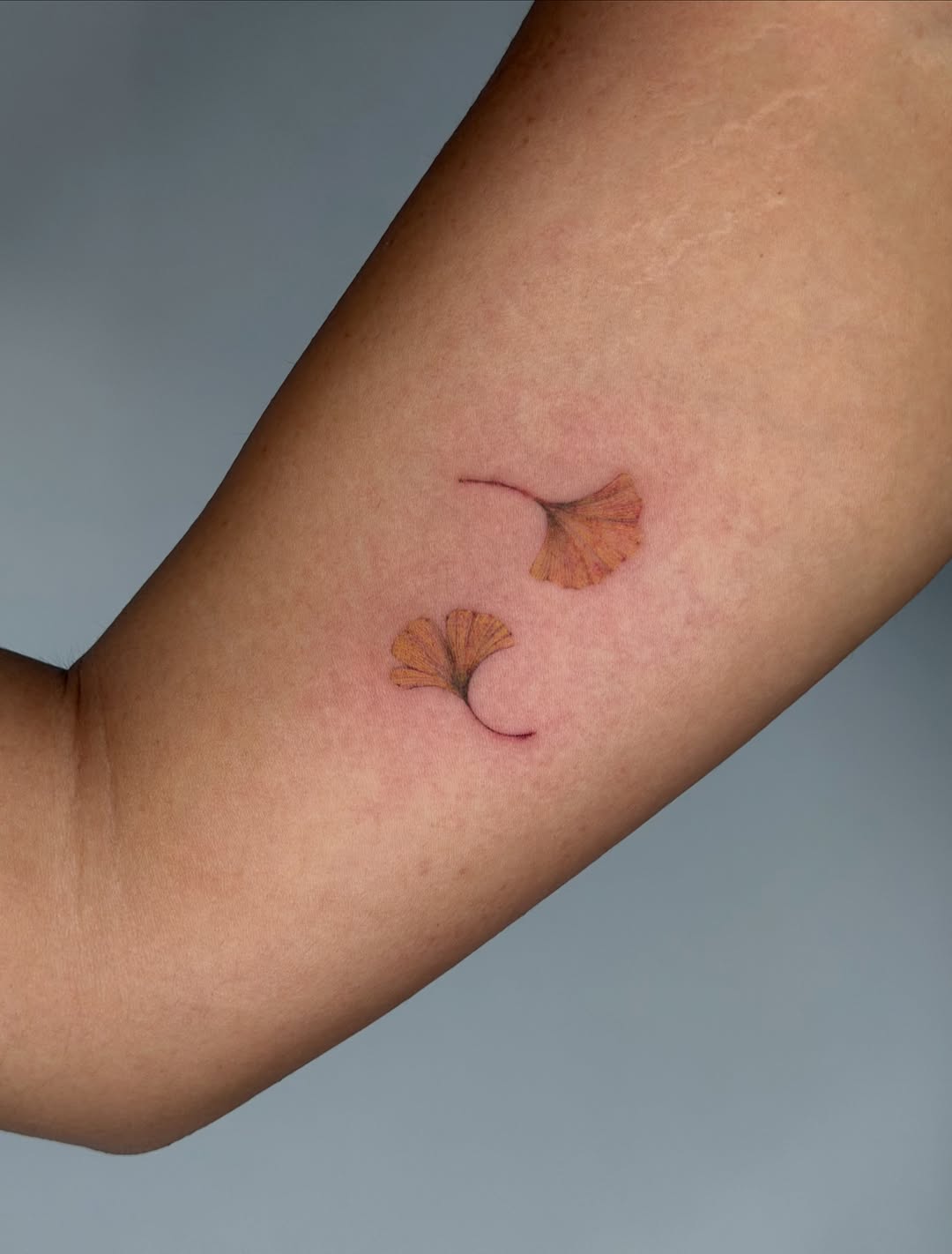 Tattoo by @lusi.ne.tattoo — fine_line, realism
