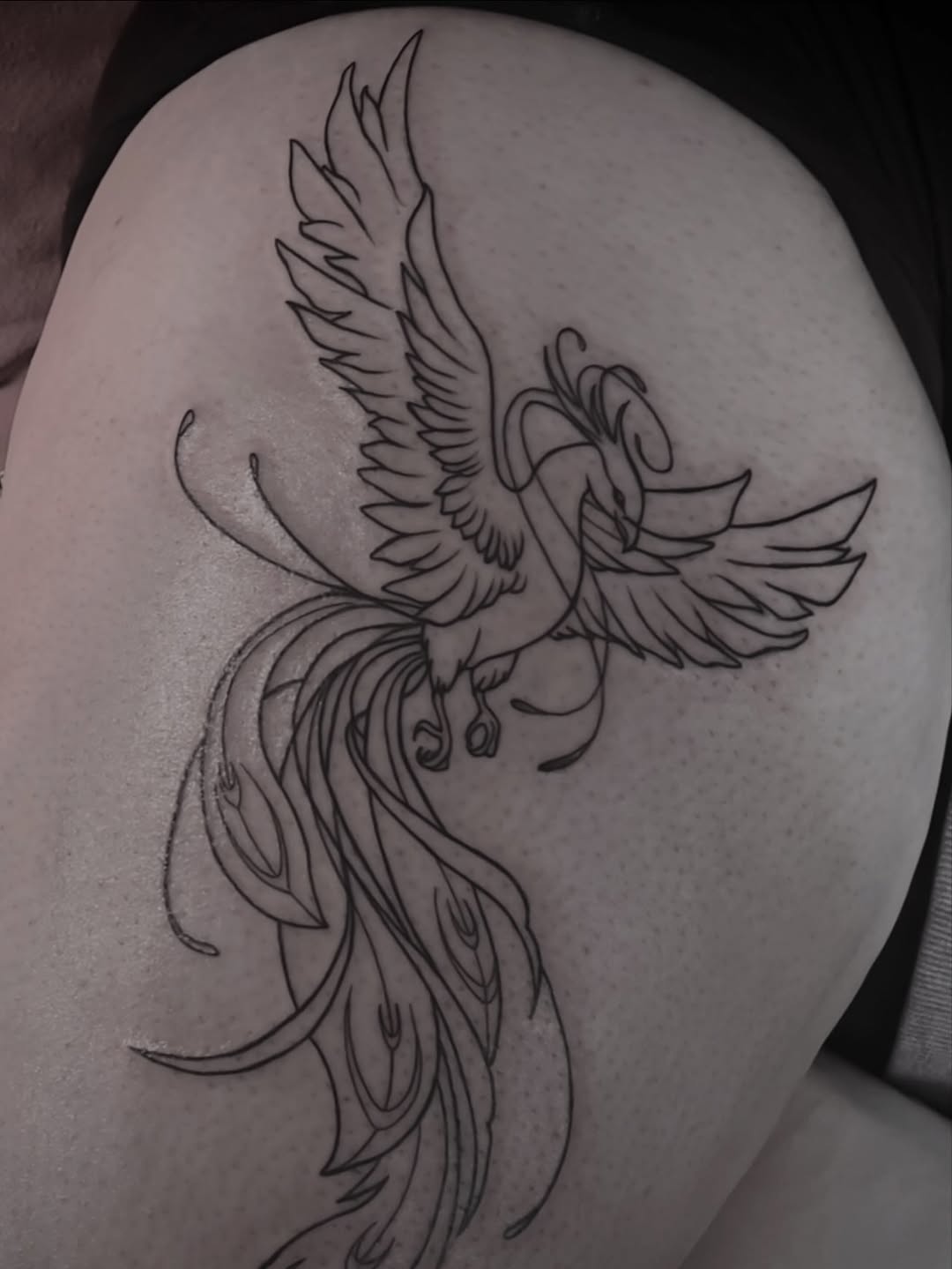 Tattoo by @sspc_tattoo_ink — fine_line