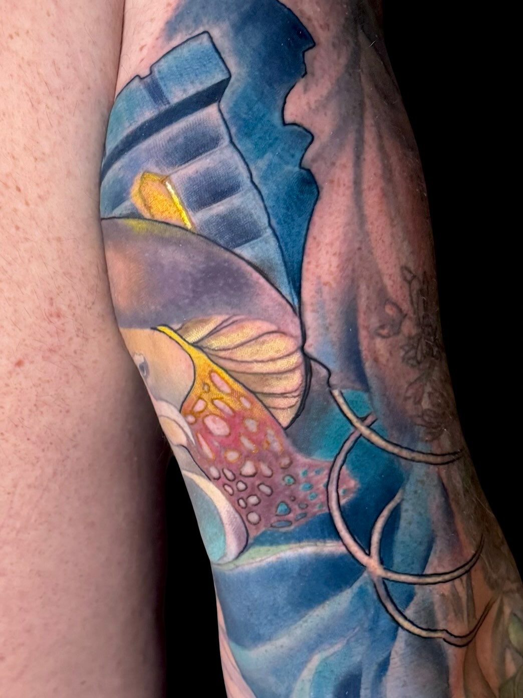 Tattoo by @tattoosbymissamanda — realism, new_school