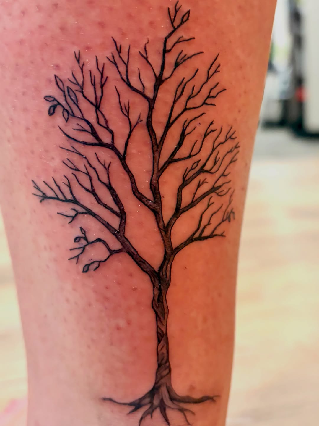 Tattoo by @emilyroseartistrytattoo — illustrative, fine_line