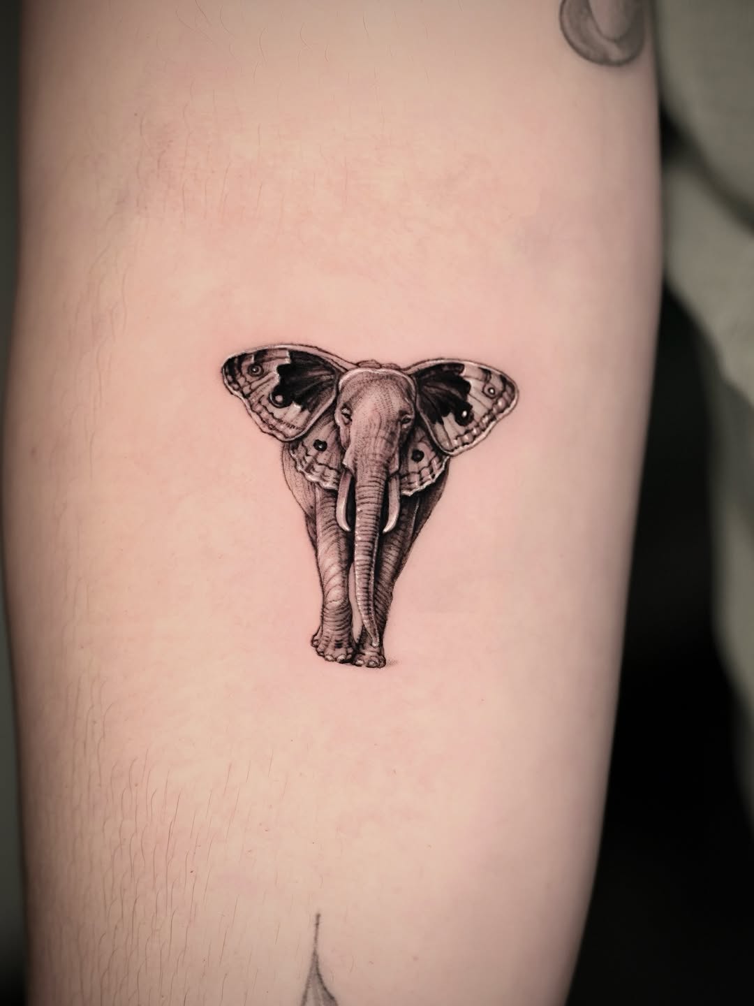 Tattoo by @calvintattoo โ black_and_grey, realism