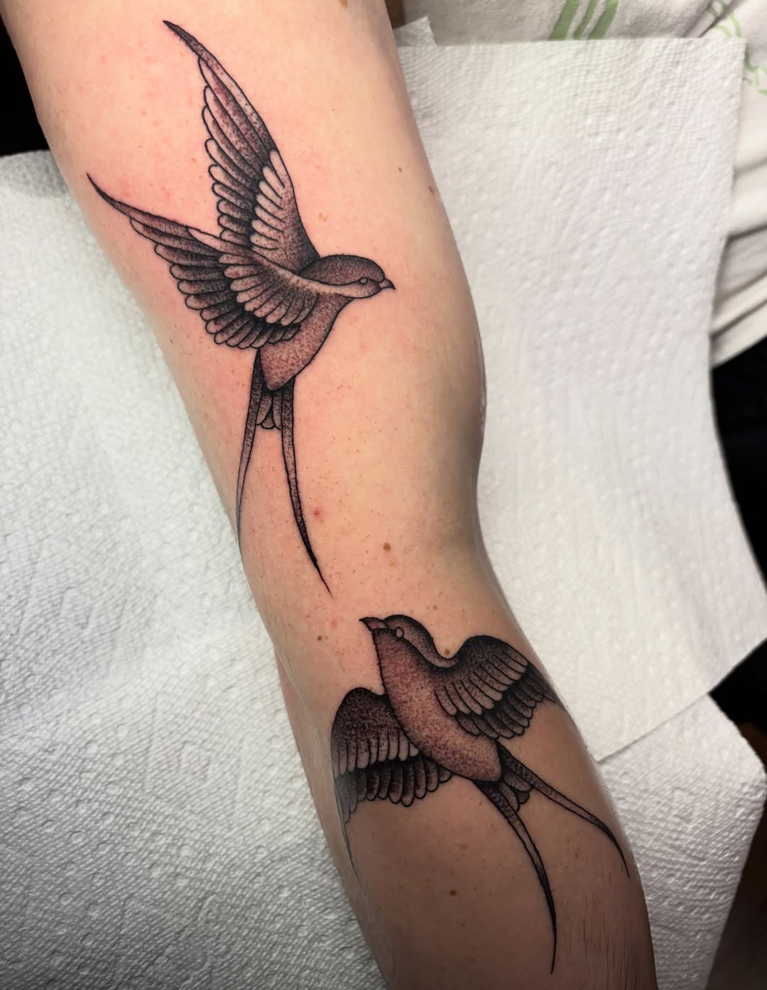 Tattoo by @twodeadfeet — illustrative, dotwork