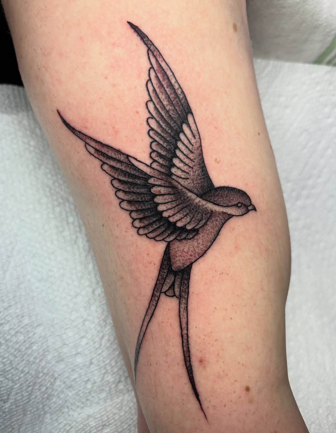 Tattoo by @twodeadfeet — black_and_grey, illustrative