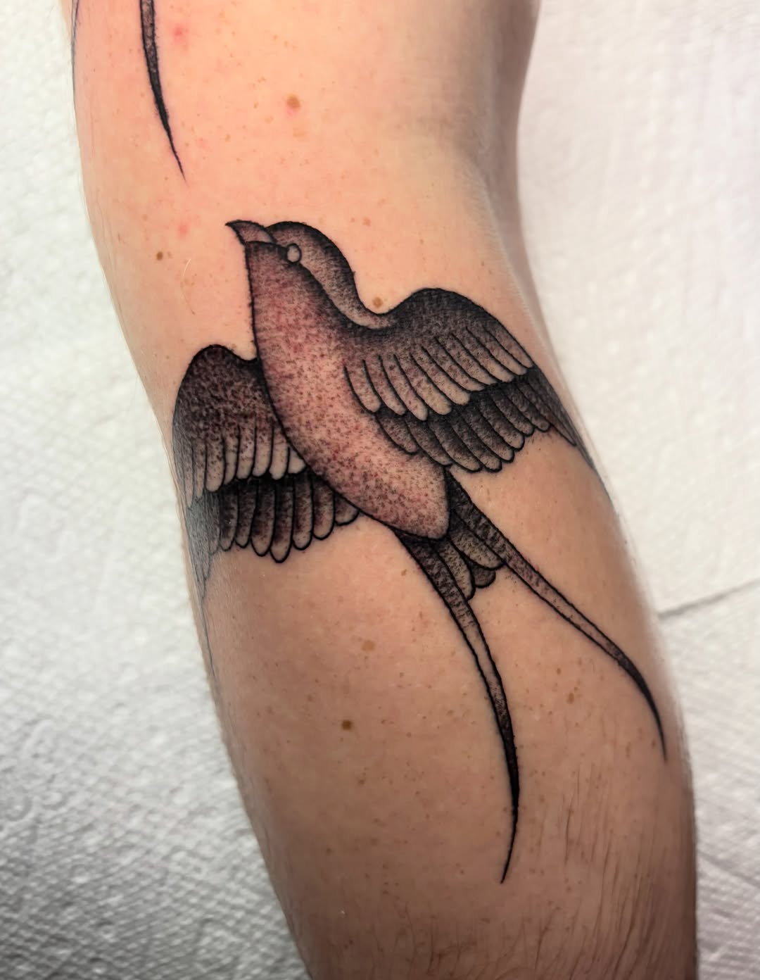 Tattoo by @twodeadfeet — black_and_grey, dotwork
