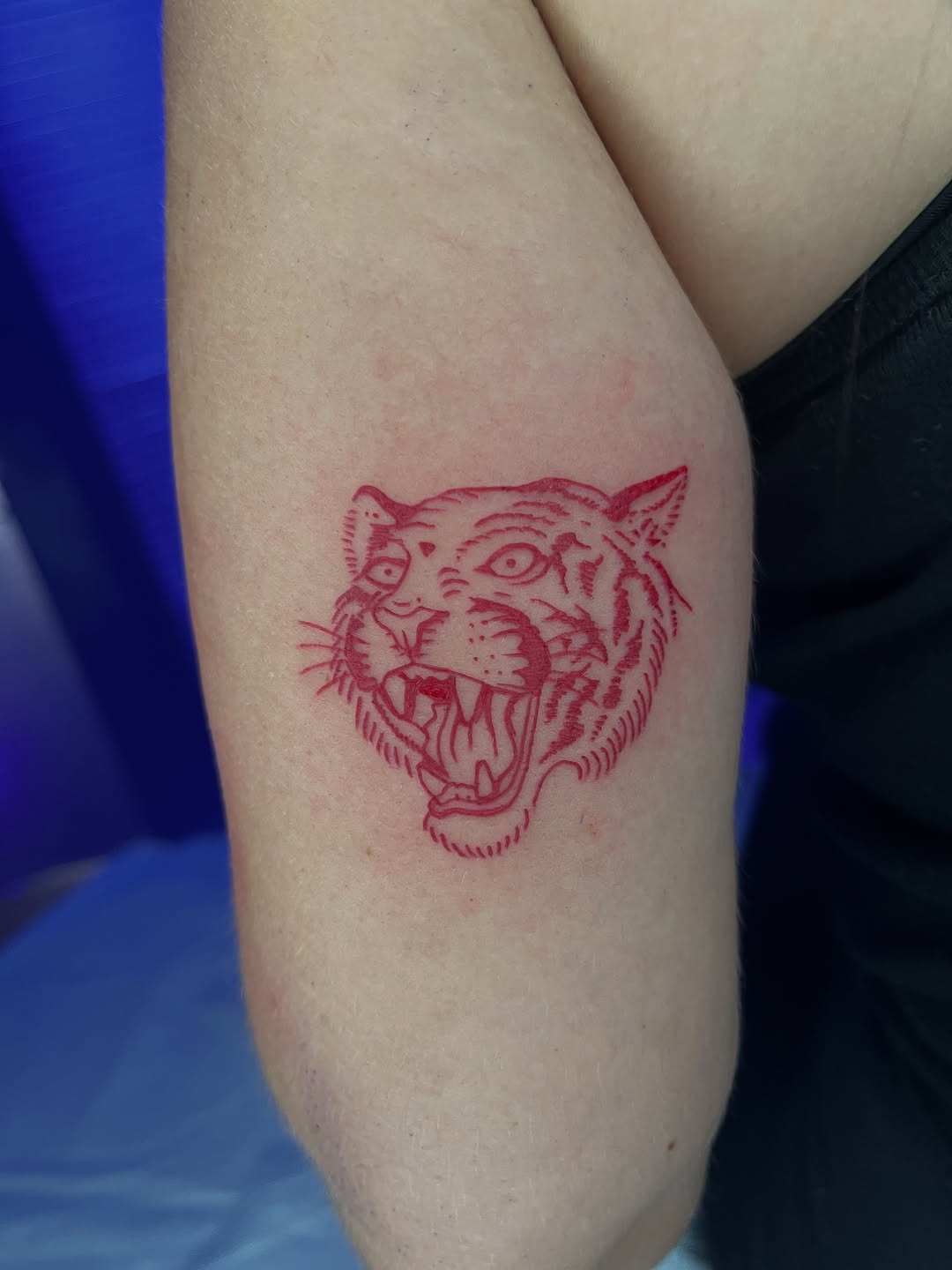 Tattoo by @dirty_funq — illustrative, american_traditional