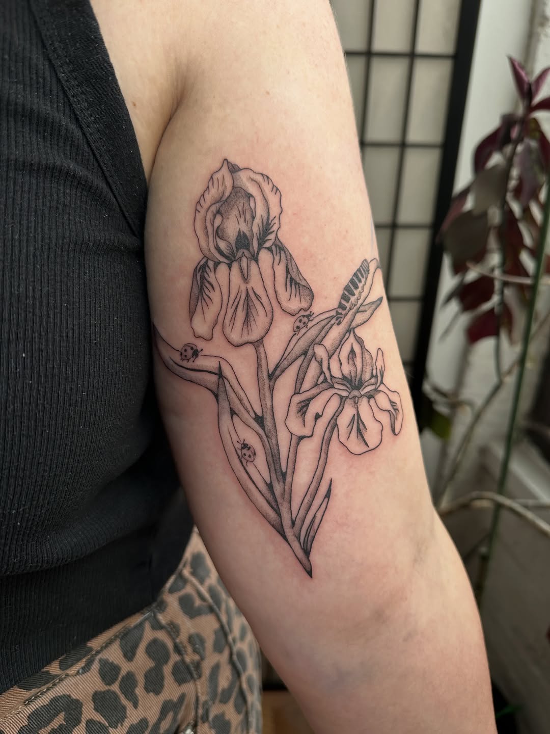 Tattoo by @silly.tatty — fine_line, black_and_grey