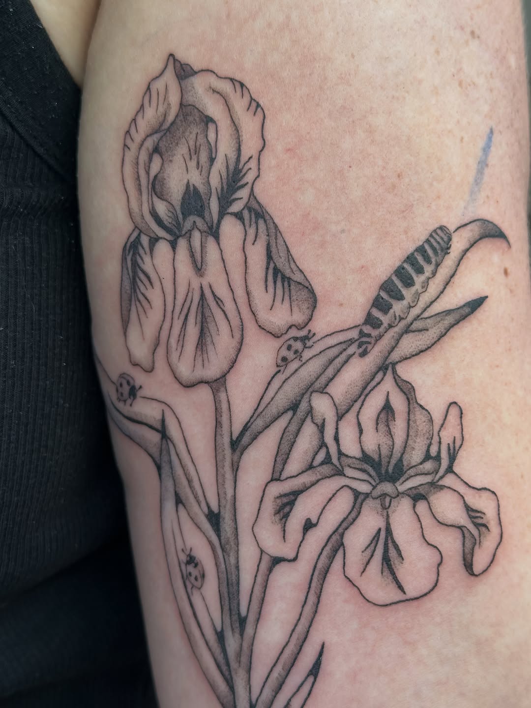 Tattoo by @silly.tatty — black_and_grey, dotwork