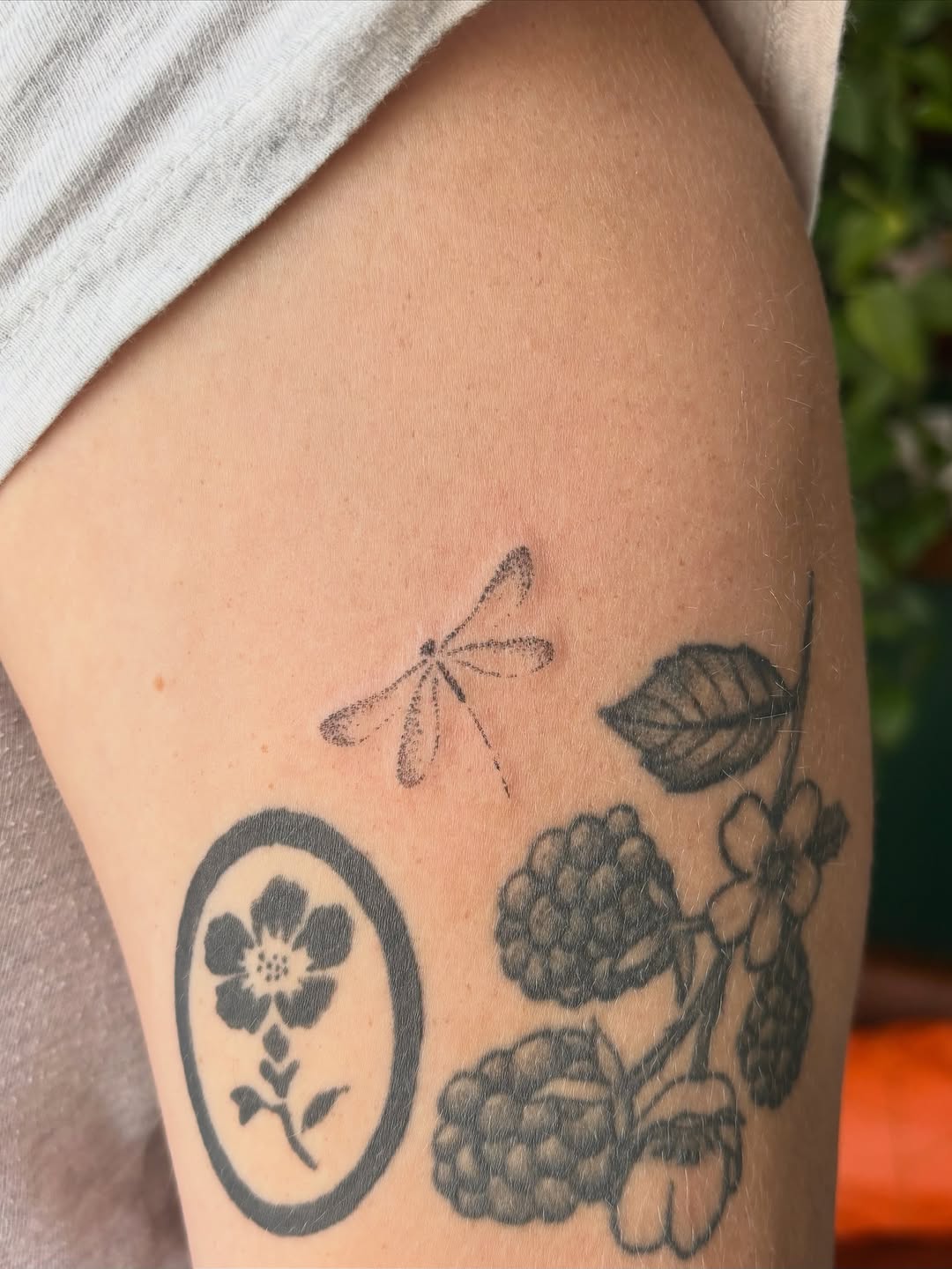 Tattoo by @seneca_studios — fine_line, illustrative