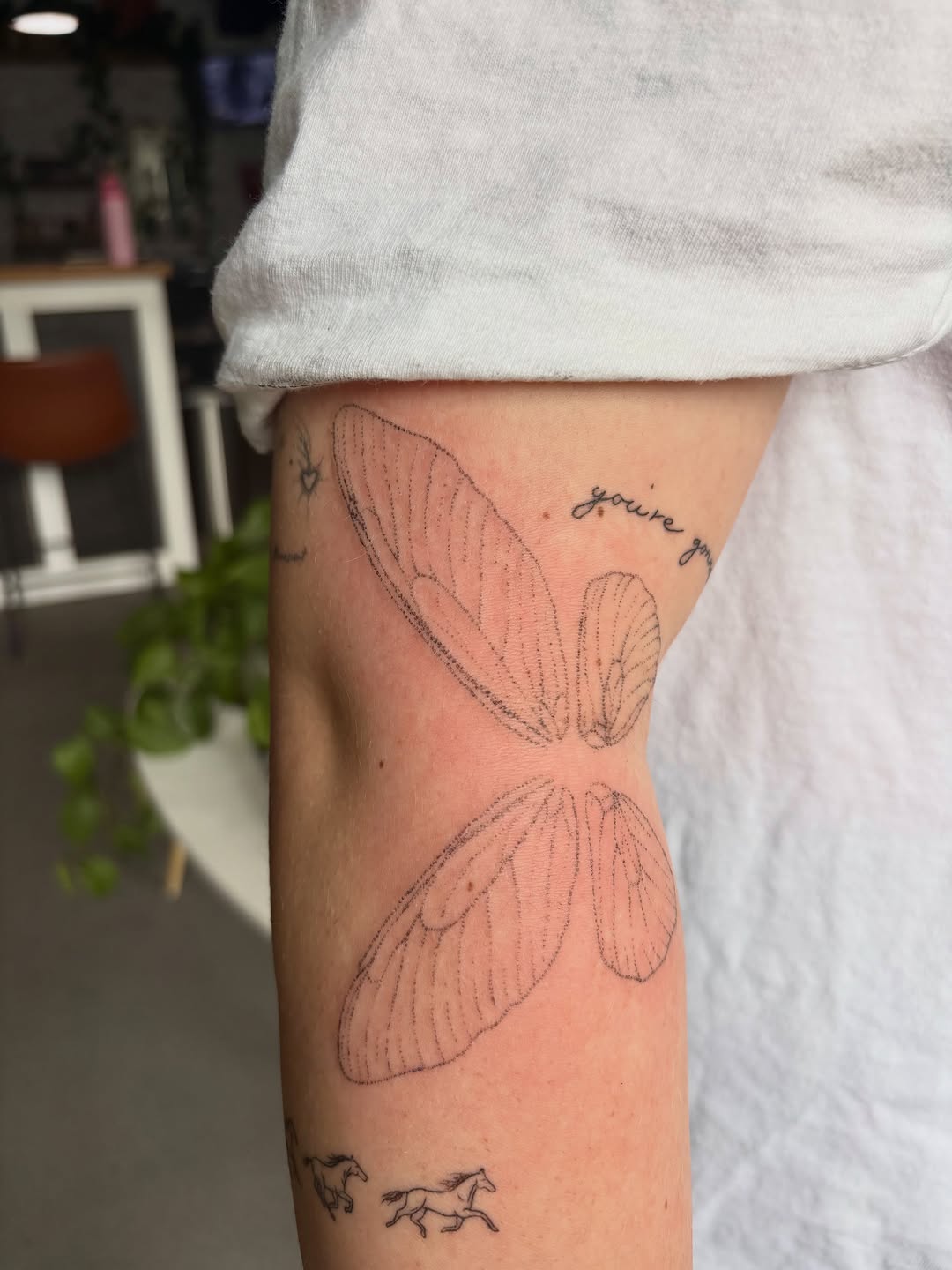 Tattoo by @seneca_studios — fine_line, illustrative