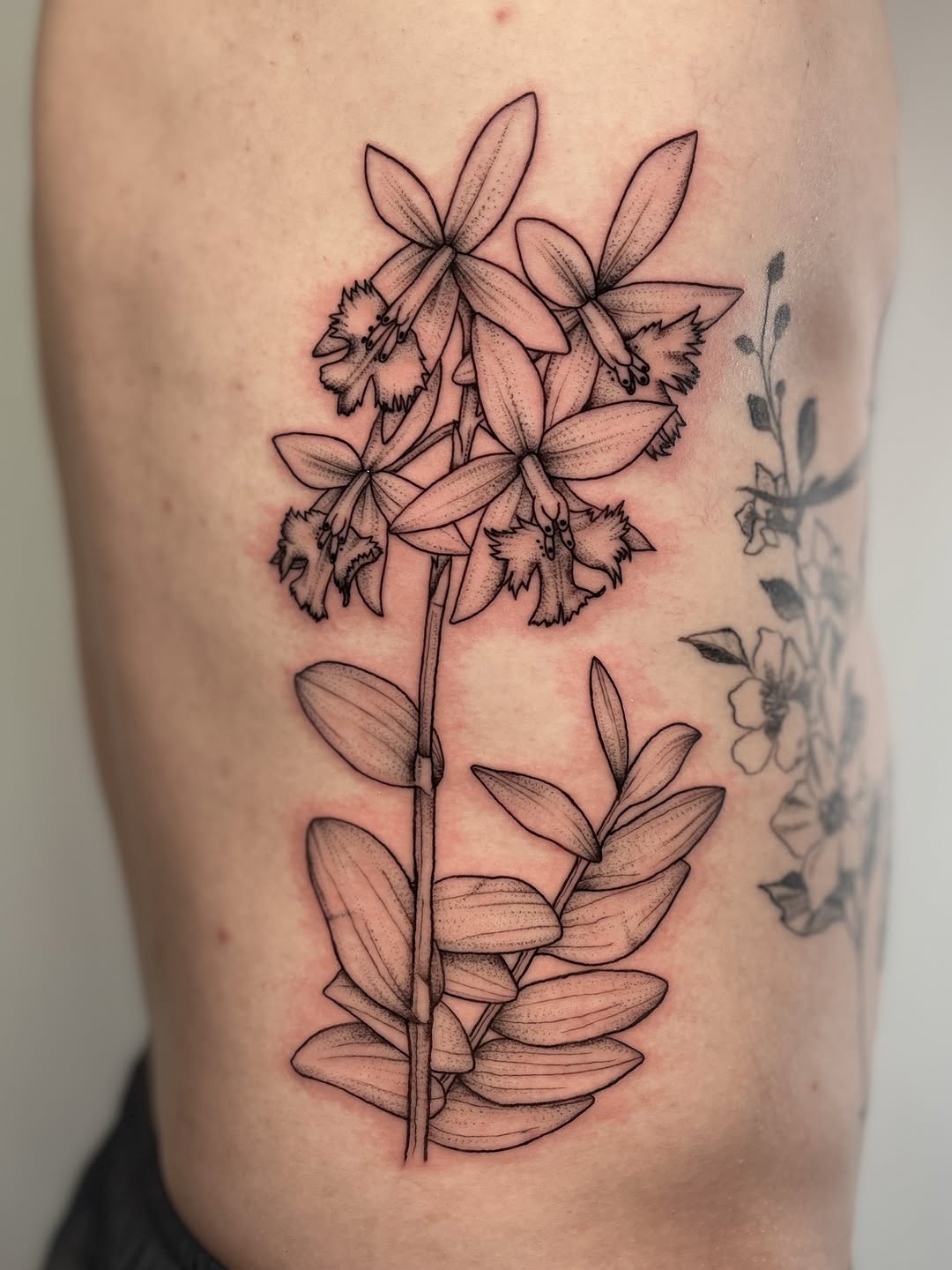 Tattoo by @seed.eternal — fine_line, black_and_grey