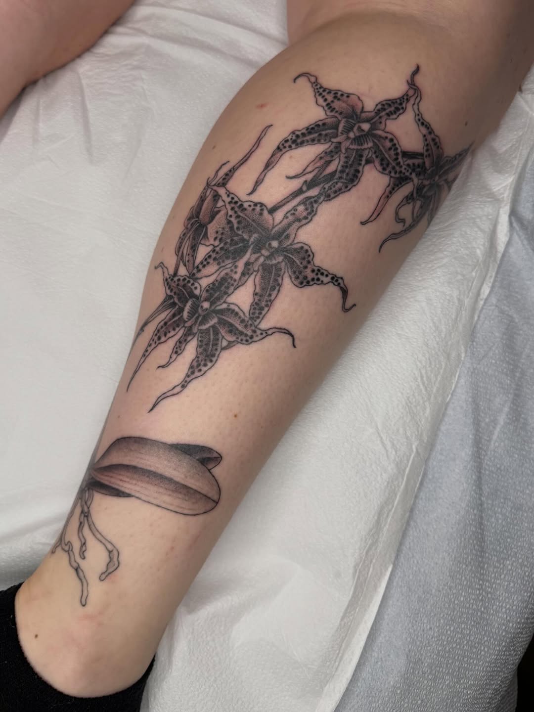 Tattoo by @mothmilk — realism, black_and_grey