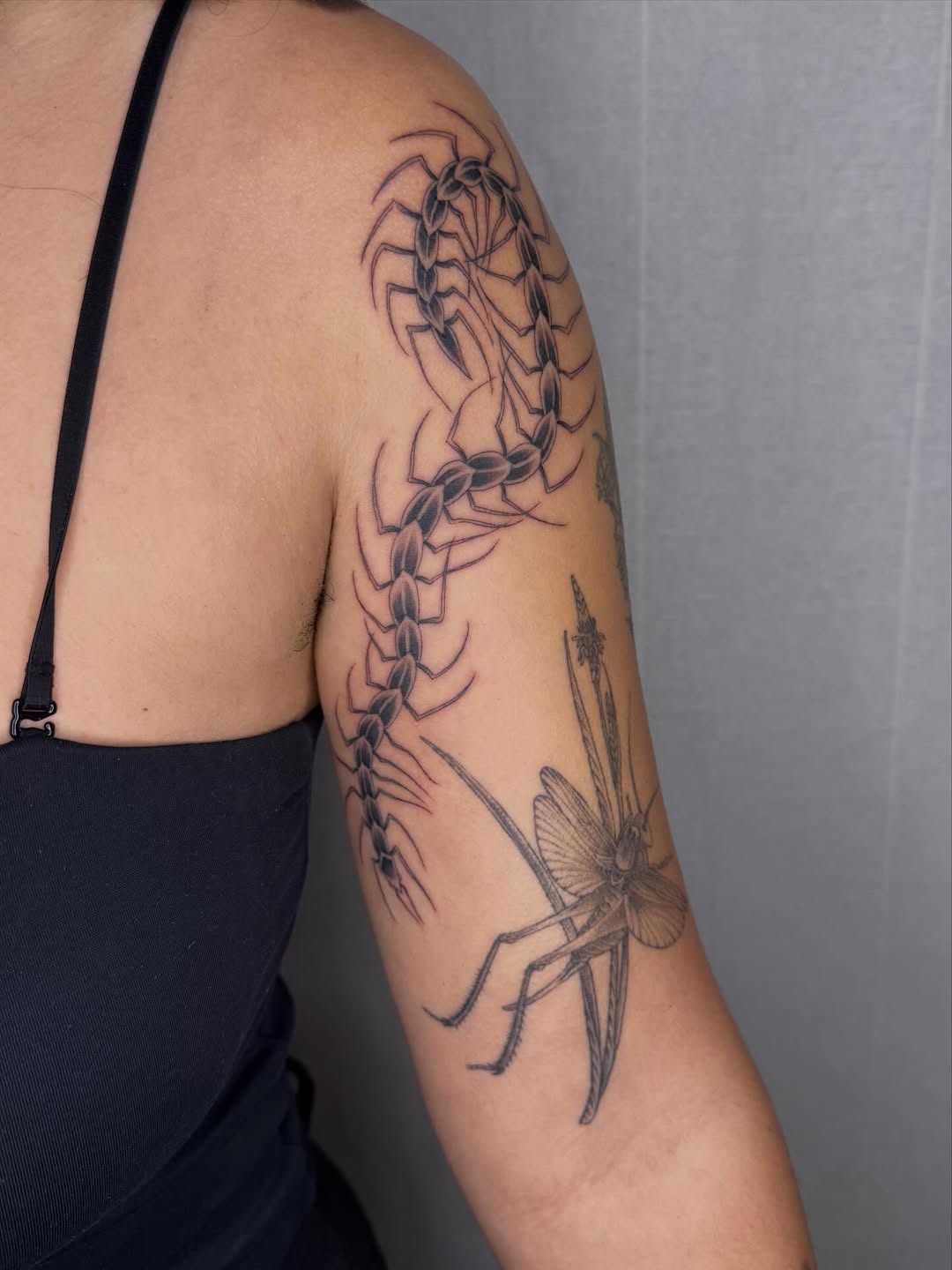 Tattoo by @mothmilk — black_and_grey, realism