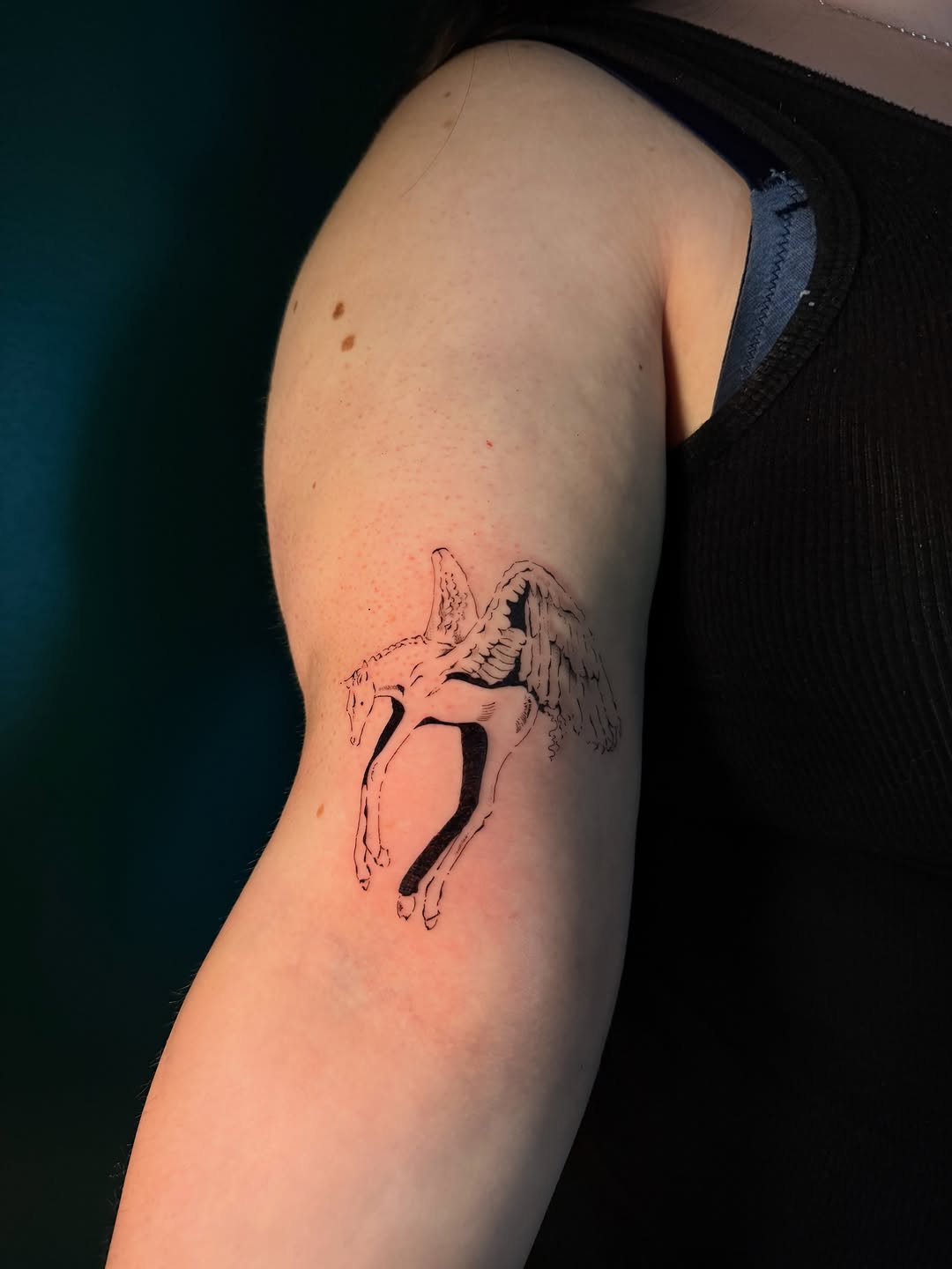 Tattoo by @juniperinkk — fine_line, black_and_grey