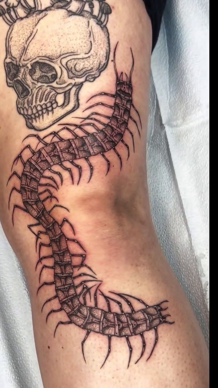 Tattoo by @nikkipowertattoo — blackwork, illustrative