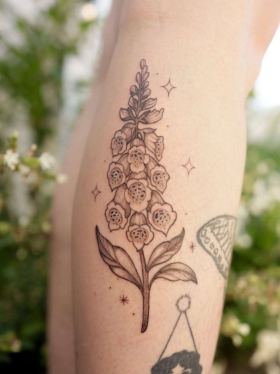 Tattoo by @averistattoo — fine_line