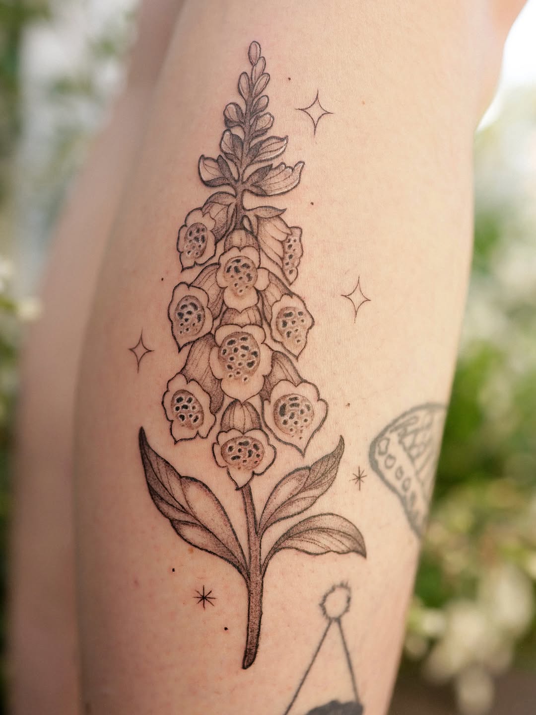 Tattoo by @averistattoo — black_and_grey