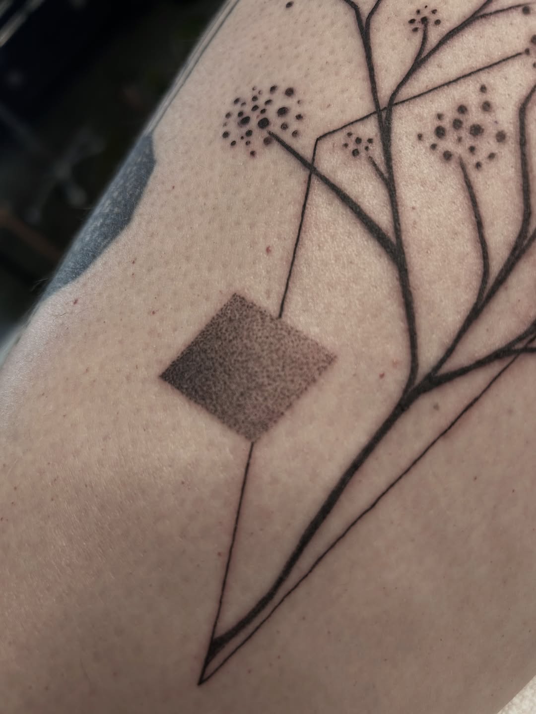 Tattoo by @douceliigne — fine_line, dotwork