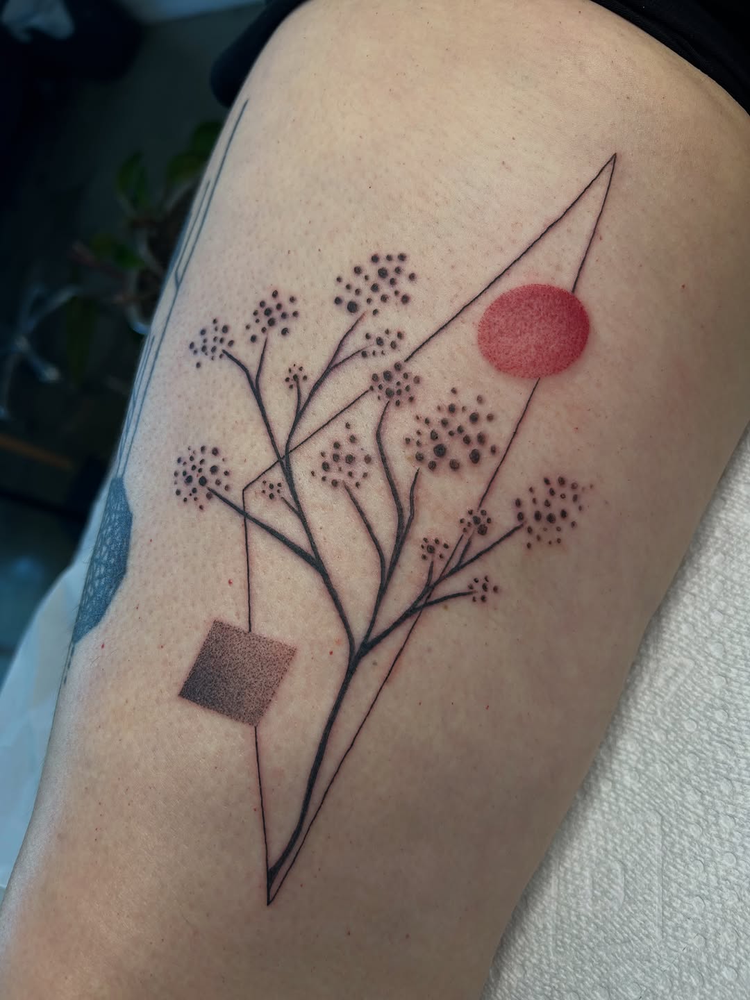 Tattoo by @douceliigne — fine_line, geometric