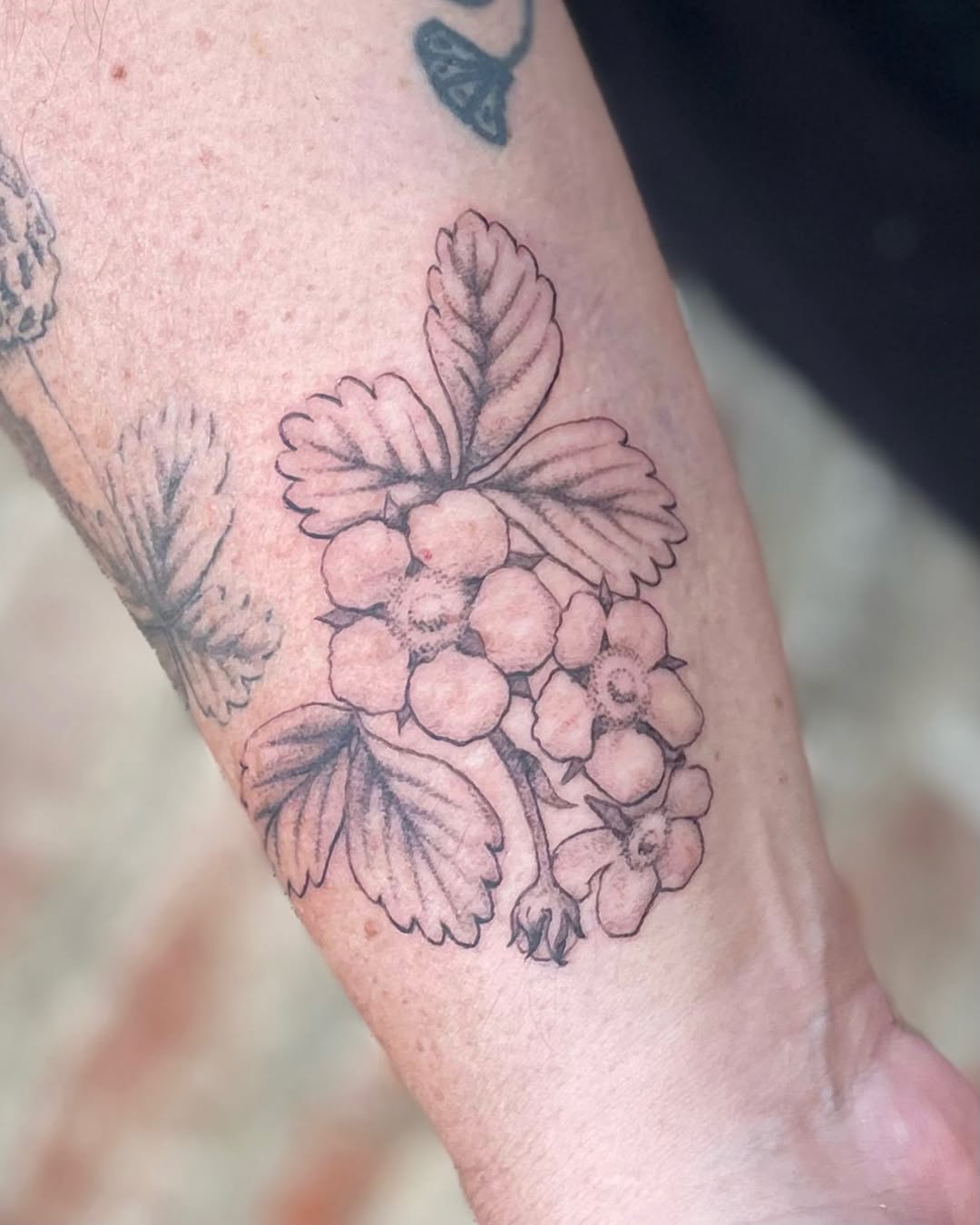 Tattoo by @ponycarttattoo — fine_line, black_and_grey