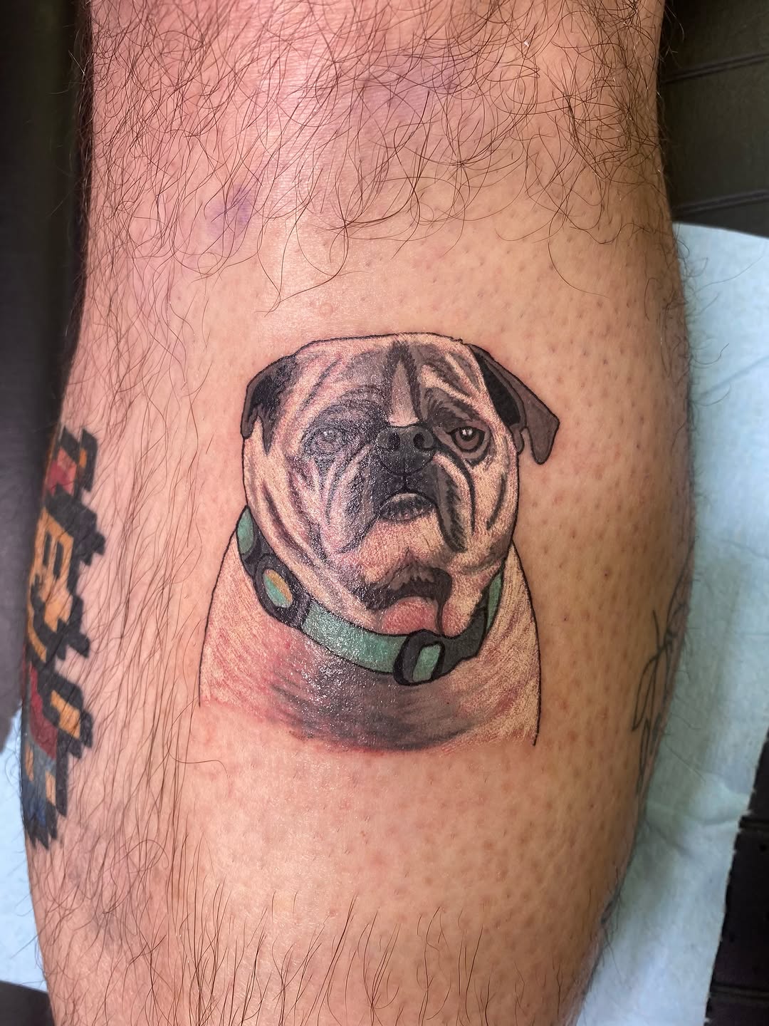 Tattoo by @katielou_tattoo โ realism, illustrative