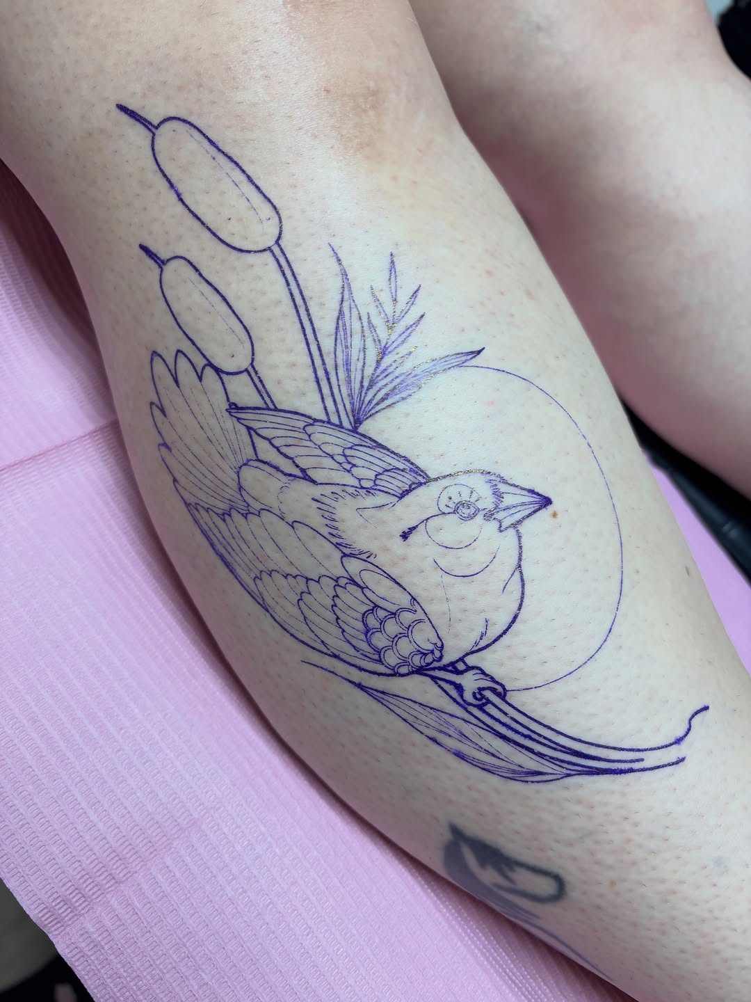 Tattoo by @katscratchtattooss — illustrative
