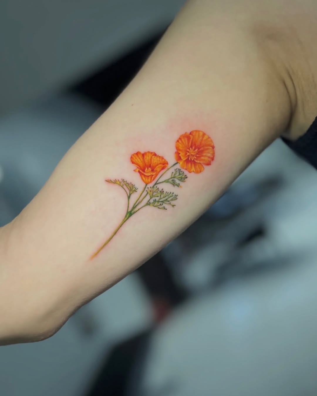 Tattoo by @vox_von_vader — realism, illustrative