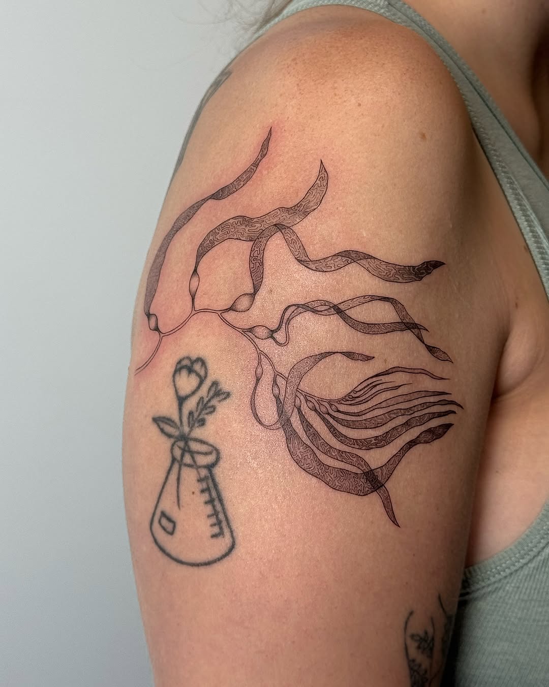 Tattoo by @whiskietattoos โ illustrative, fine_line