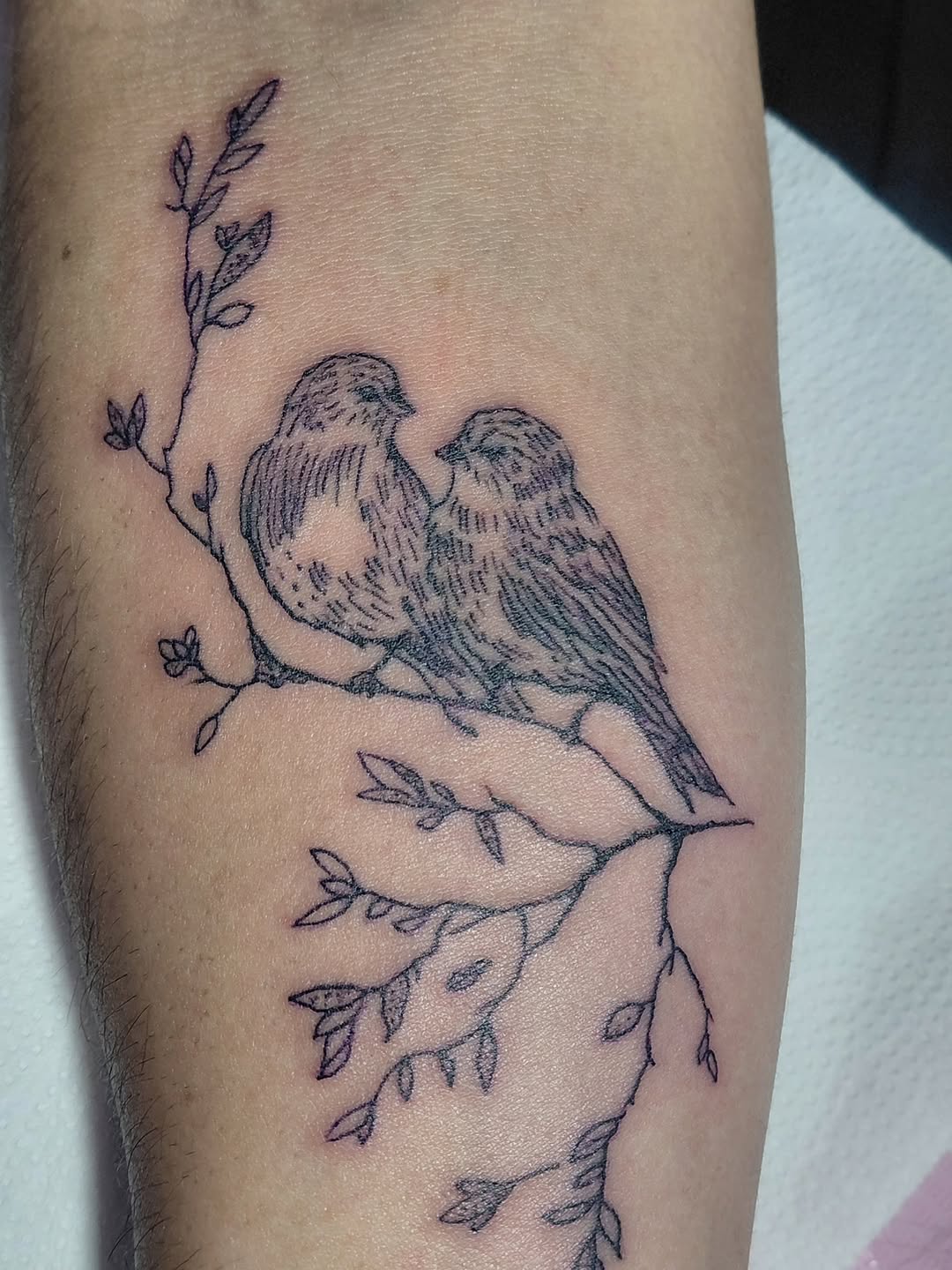 Tattoo by @cannibal_tattoo_studio — fine_line