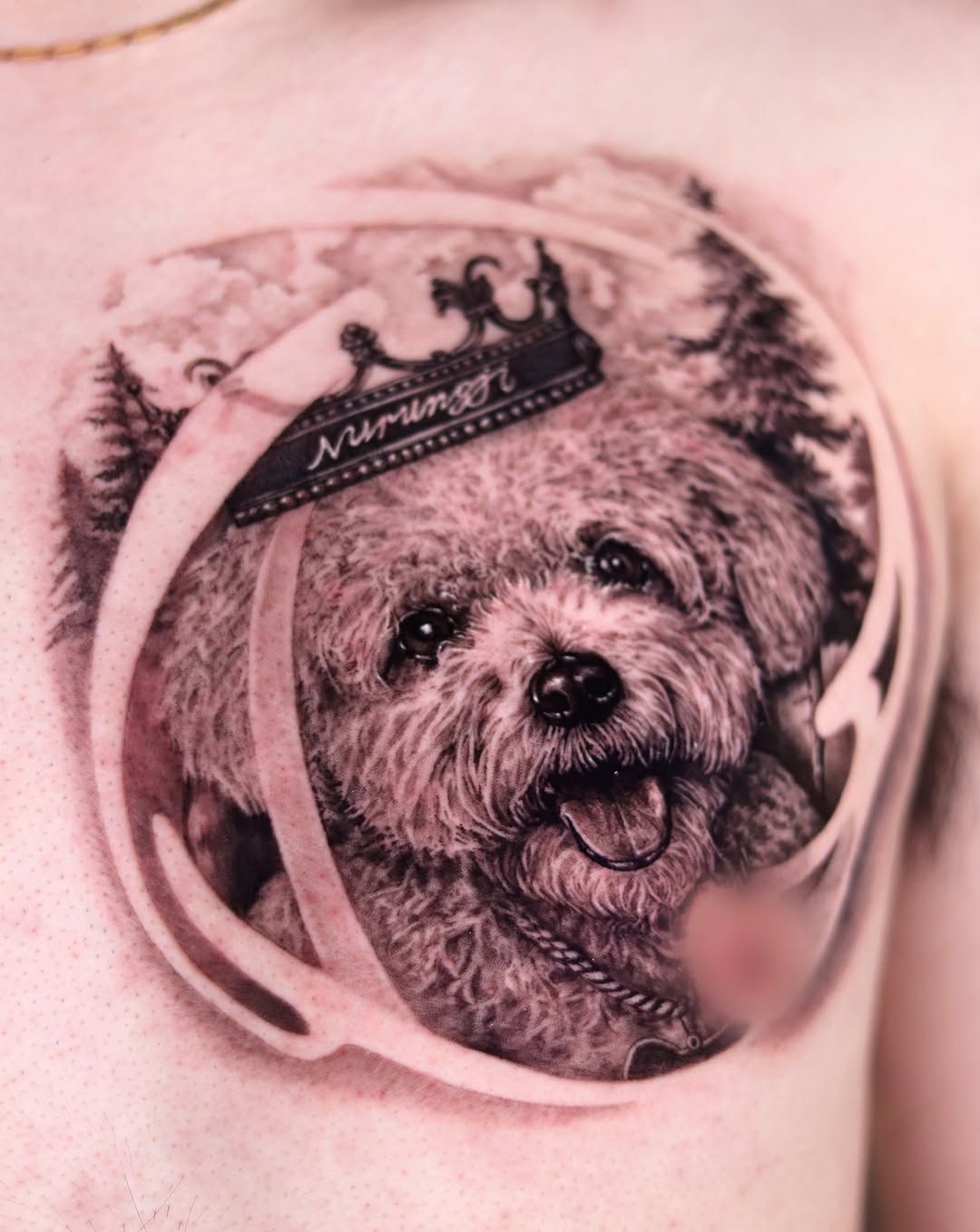 Tattoo by @dokdan.tt — realism, black_and_grey