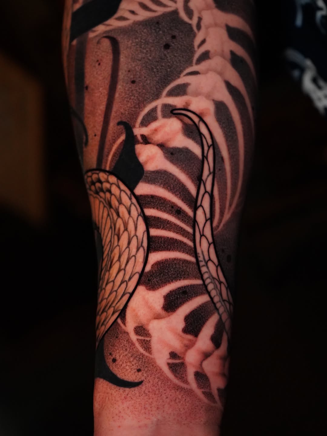 Tattoo by @hxc.tattoos — blackwork, illustrative