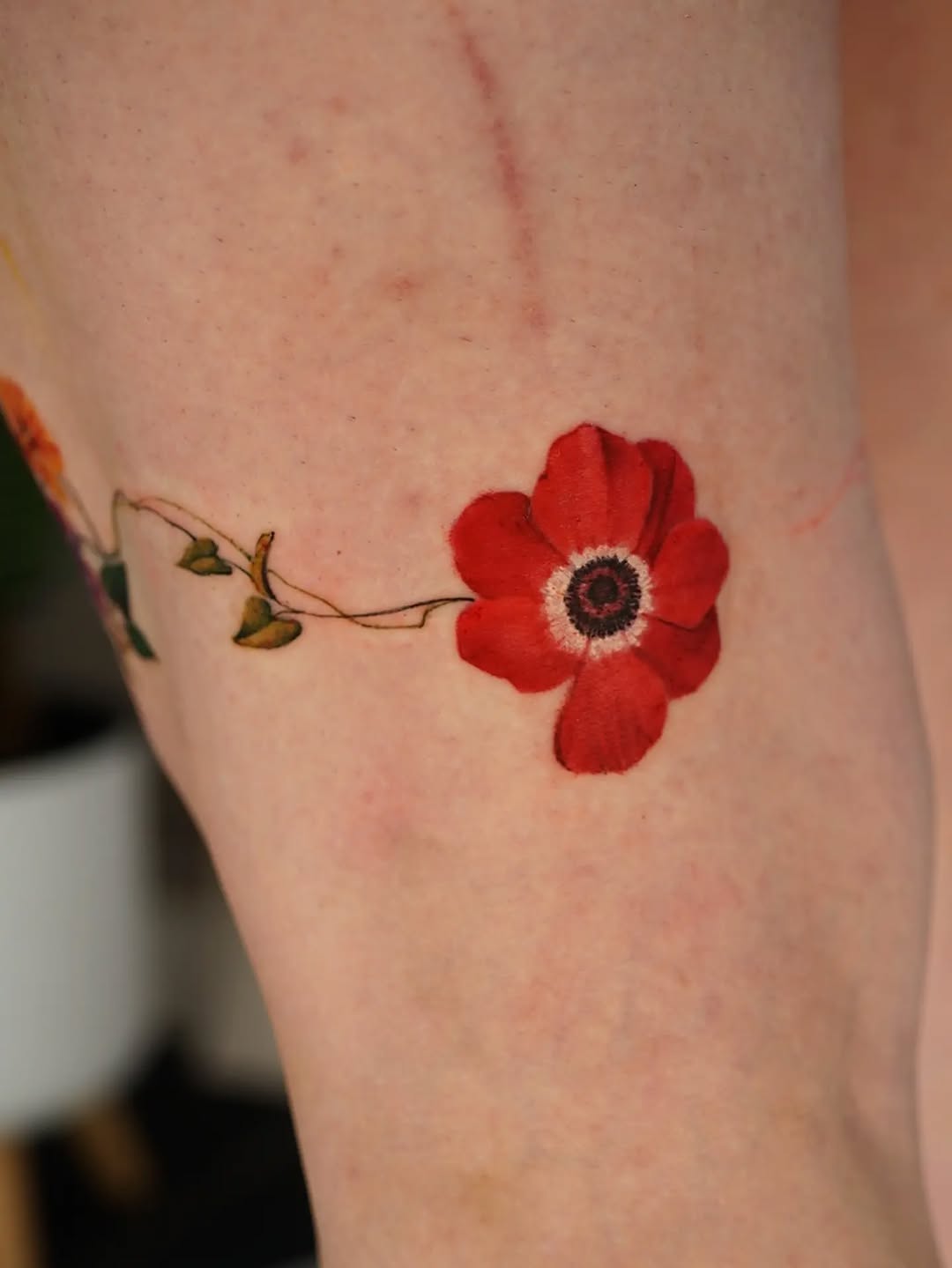 Tattoo by @vii_tattoo — realism, watercolor