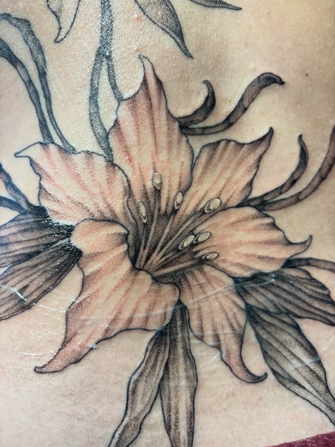 Tattoo by @rachelfostertattoos — illustrative, black_and_grey