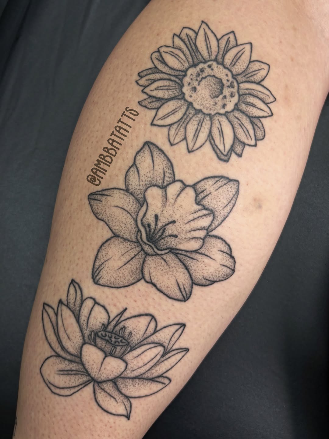 Tattoo by @ambbatatts โ dotwork, illustrative