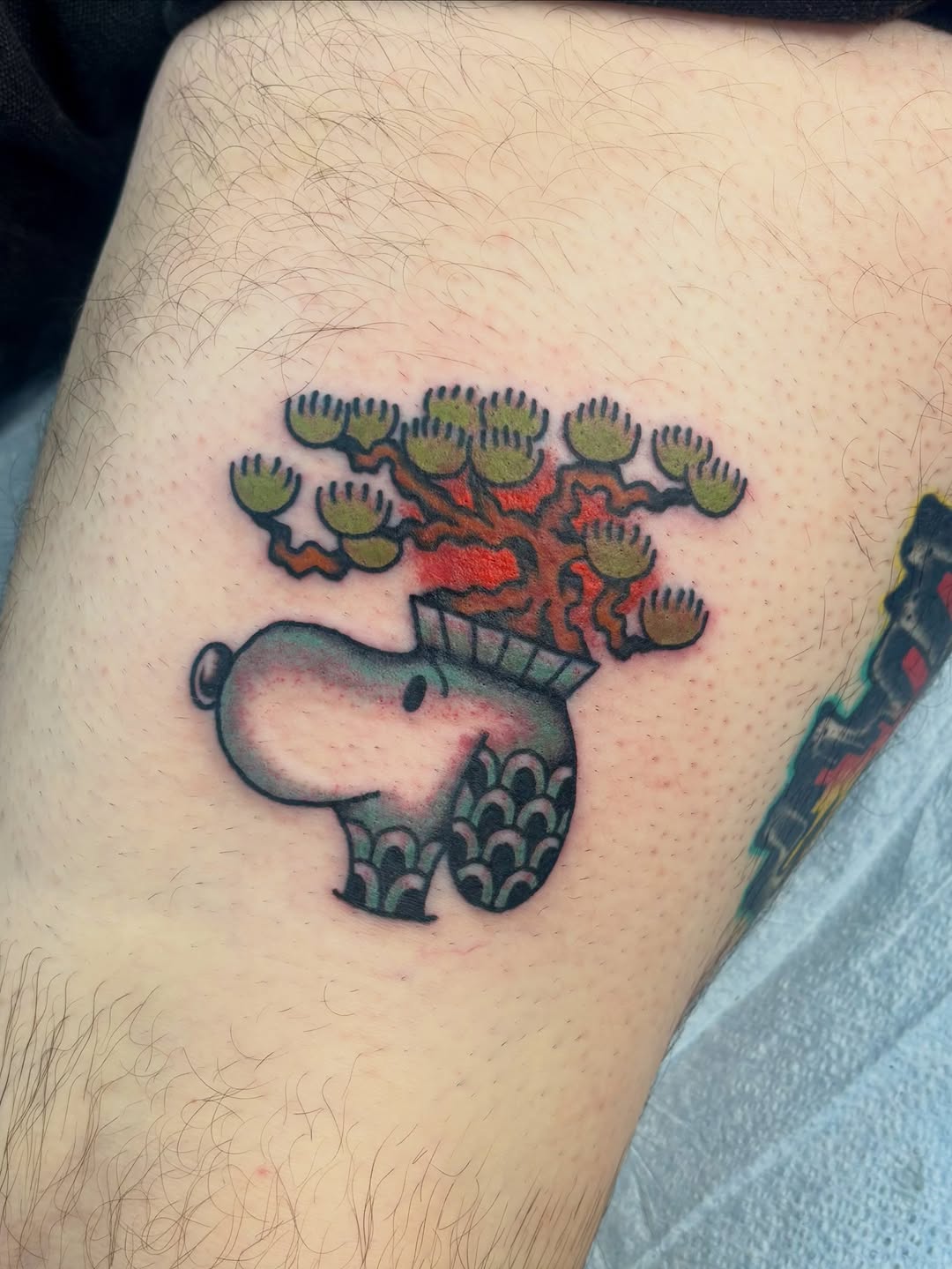 Tattoo by @tiaxcave — new_school, illustrative