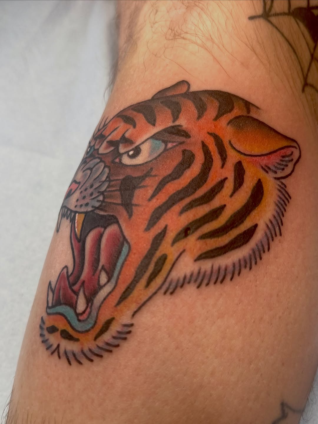 Tattoo by @cryptidtattooer — american_traditional