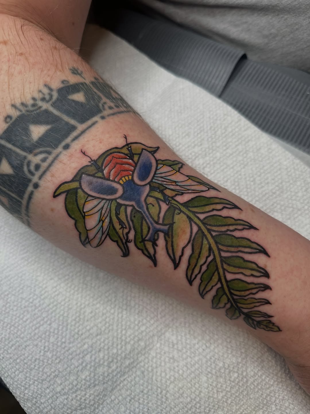 Tattoo by @grimefrogtattoos — neo_traditional, illustrative