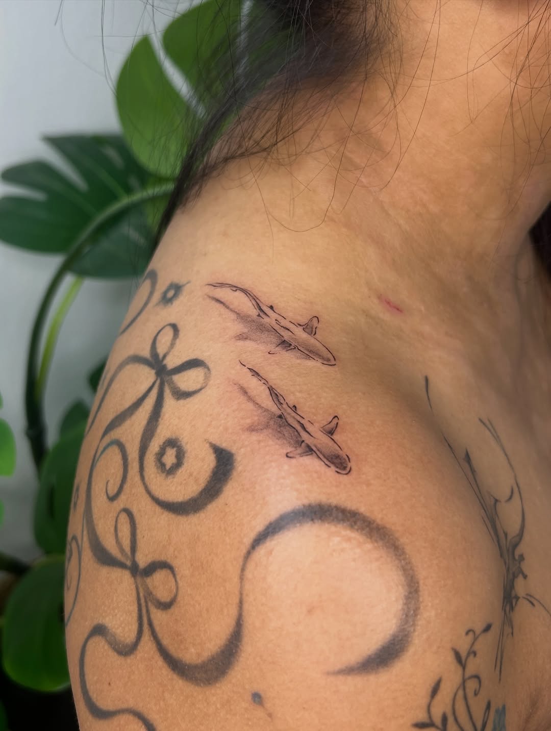 Tattoo by @xsinner___ — fine_line, illustrative