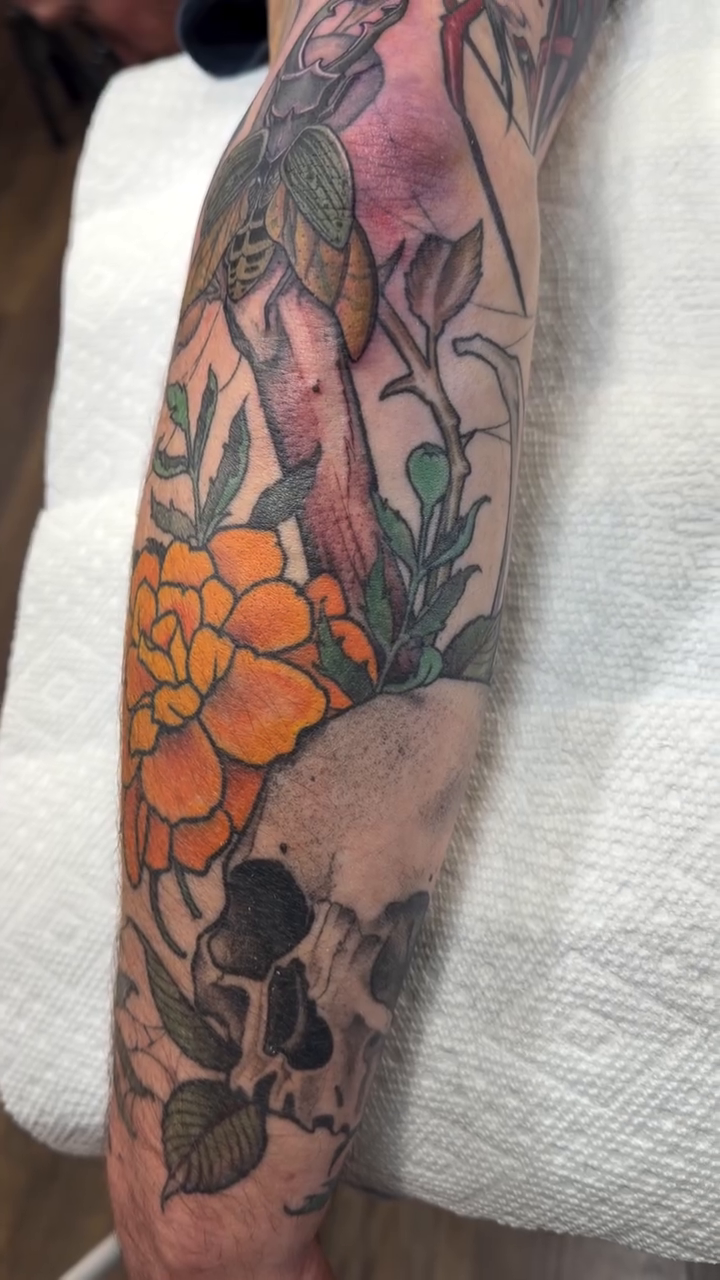 Tattoo by @englikethelang — neo_traditional, dark_realism