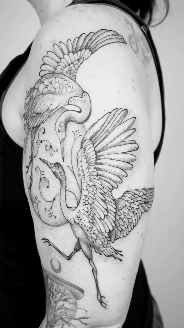 Tattoo by @dragonfly_ajja — fine_line, black_and_grey