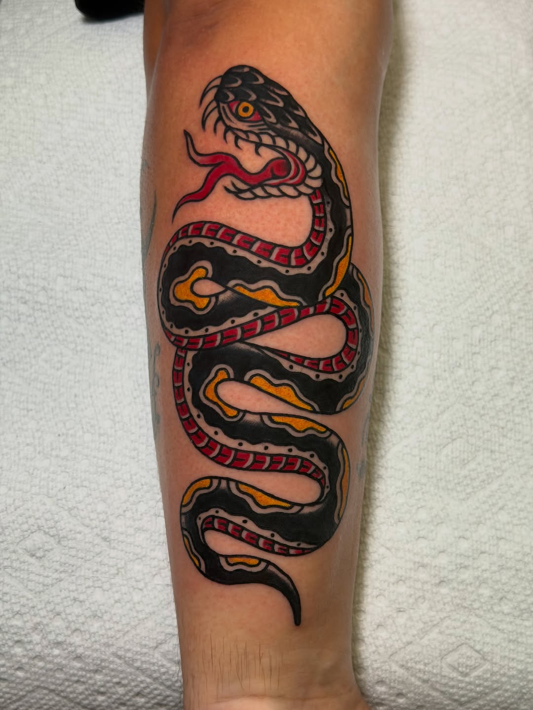 Tattoo by @brandonbeartattoos โ american_traditional