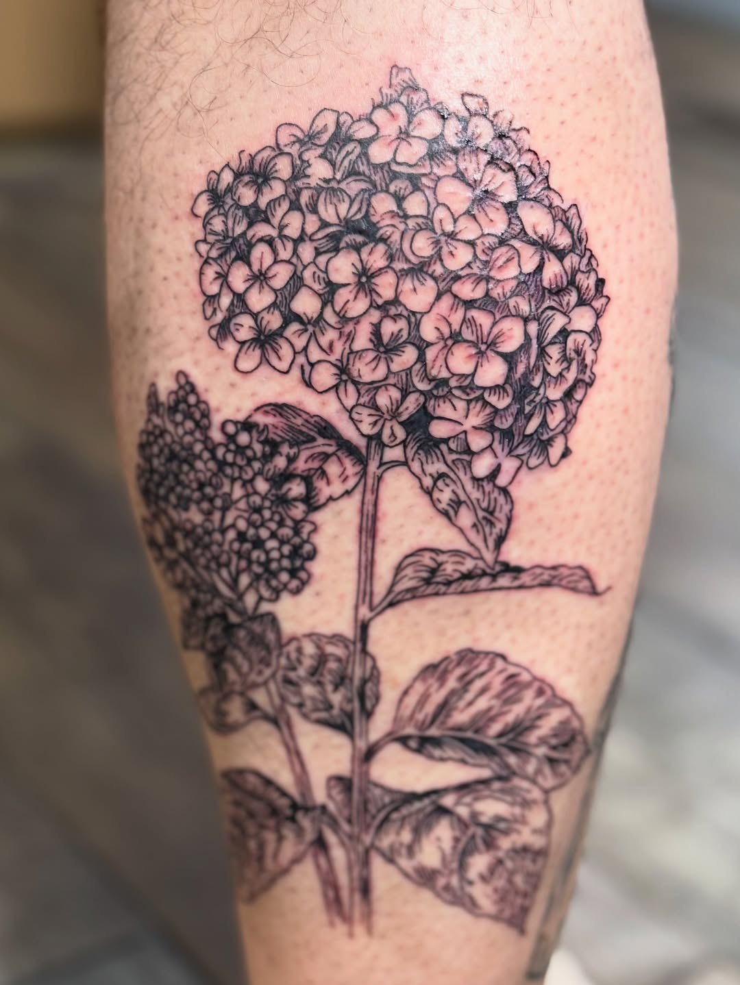 Tattoo by @hunterbeyertattoos — illustrative, black_and_grey